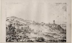 Visone