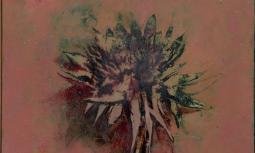 Fiore