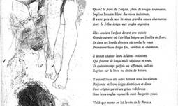 Les chercheuses de poux