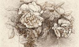senza titolo (Rose in un bicchiere)