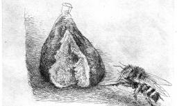 Francois Villon, Ballades et rondeaux du testament Villon