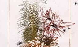 Fiori