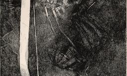 Fossili 