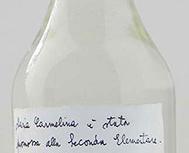 Maria Carmelina è stata promossa alla Seconda Elementare  Evviva
