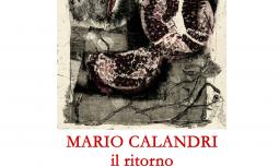 Locandina Canelli