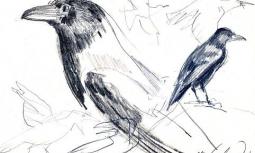 Disegno preparatorio per  &quot;Segni sulla neve &quot;