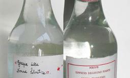 Grappa della Donna Selvatica - Ufficio Registro Pianti  Visto Piangere