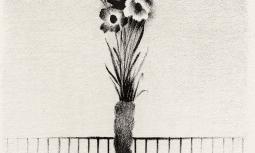 Fiori