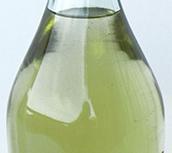  Grappa della Donna Selvatica  che scavalica le colline