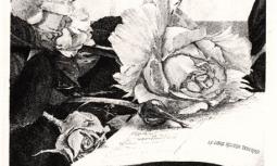 Erica Forneris Ex Libris Rosalba Dolermo