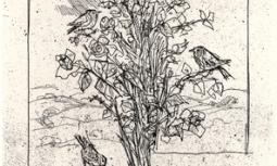 Roseto ex-libris Rosalba Dolermo