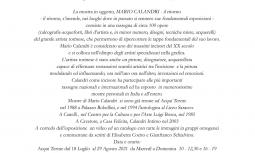 Comunicato stampa