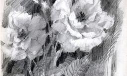 Mario Calandri - Rose