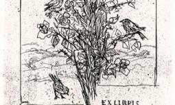 FERNANDO EANDI - ROSETO - Ex Libris Rosalba Dolermo